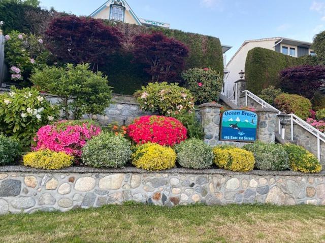 Ocean Breeze Executive Bed And Breakfast North Vancouver Exterior foto
